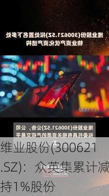 维业股份(300621.SZ)：众英集累计减持1%股份