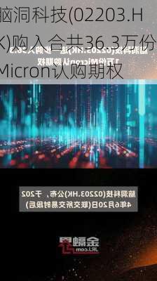 脑洞科技(02203.HK)购入合共36.3万份Micron认购期权