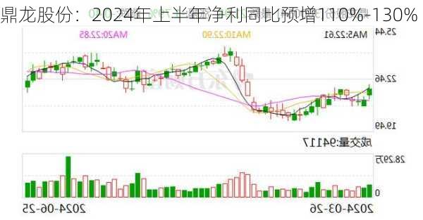 鼎龙股份：2024年上半年净利同比预增110%-130%