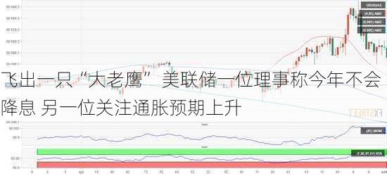 飞出一只“大老鹰” 美联储一位理事称今年不会降息 另一位关注通胀预期上升