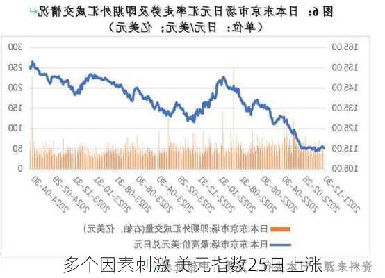 多个因素刺激 美元指数25日上涨