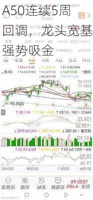 A50连续5周回调，龙头宽基强势吸金