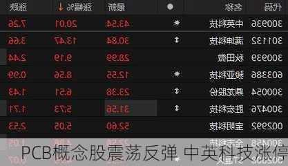 PCB概念股震荡反弹 中英科技涨停