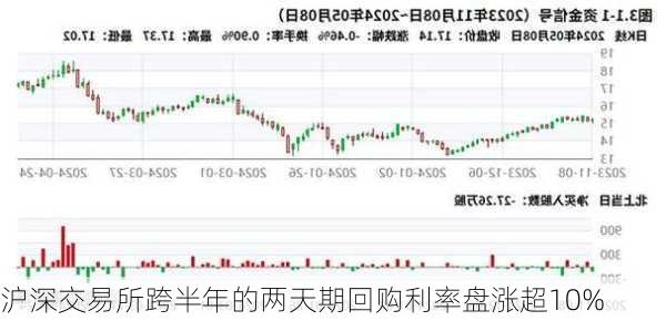 沪深交易所跨半年的两天期回购利率盘涨超10%