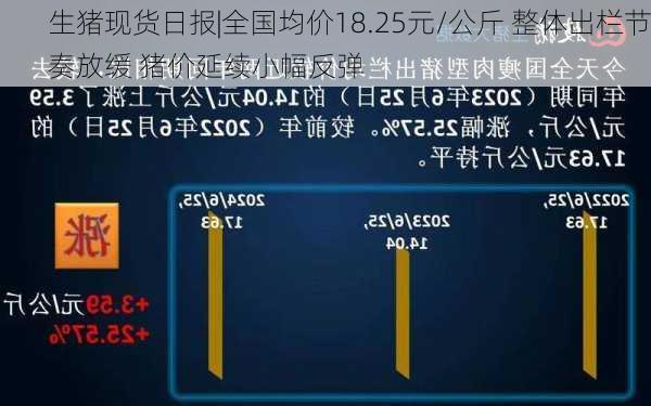 生猪现货日报|全国均价18.25元/公斤 整体出栏节奏放缓 猪价延续小幅反弹