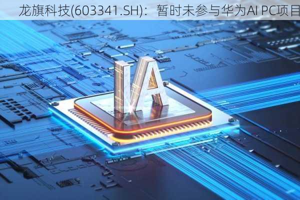 龙旗科技(603341.SH)：暂时未参与华为AI PC项目