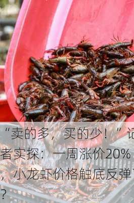 “卖的多，买的少！”记者实探：一周涨价20%，小龙虾价格触底反弹了？