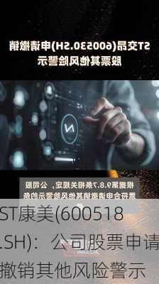 ST康美(600518.SH)：公司股票申请撤销其他风险警示