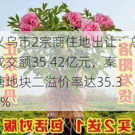 义乌市2宗商住地出让：总成交额35.42亿元，秦塘地块二溢价率达35.38%