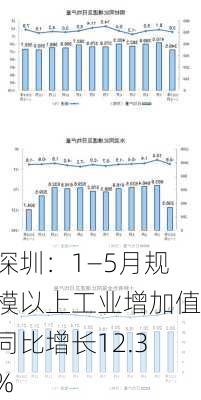 深圳：1―5月规模以上工业增加值同比增长12.3%