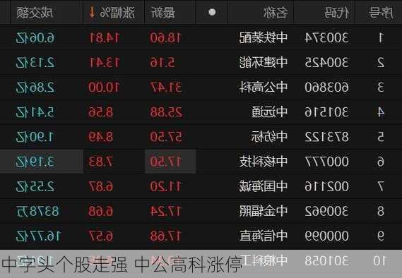 中字头个股走强 中公高科涨停