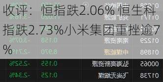 收评：恒指跌2.06% 恒生科指跌2.73%小米集团重挫逾7%