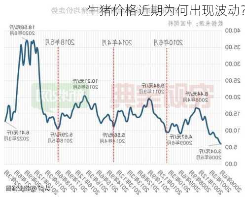 生猪价格近期为何出现波动？