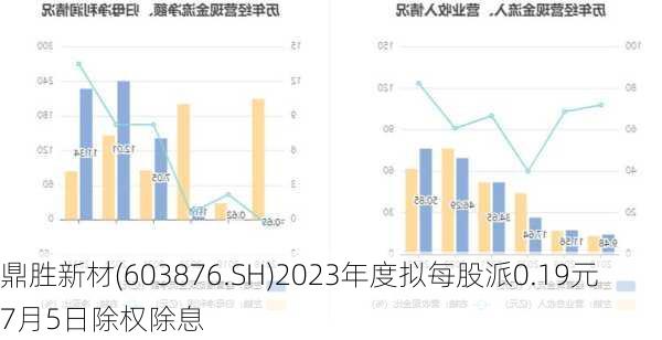 鼎胜新材(603876.SH)2023年度拟每股派0.19元 7月5日除权除息