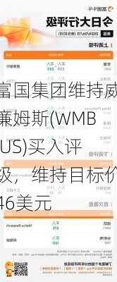 富国集团维持威廉姆斯(WMB.US)买入评级，维持目标价46美元