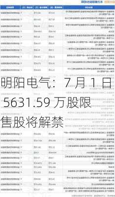 明阳电气：7 月 1 日 5631.59 万股限售股将解禁