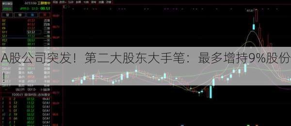 A股公司突发！第二大股东大手笔：最多增持9%股份！