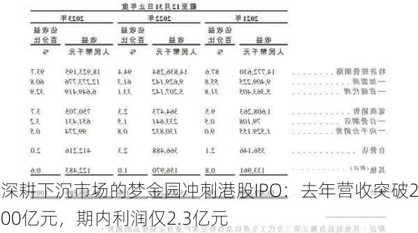 深耕下沉市场的梦金园冲刺港股IPO：去年营收突破200亿元，期内利润仅2.3亿元