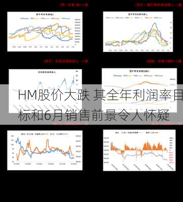 HM股价大跌 其全年利润率目标和6月销售前景令人怀疑