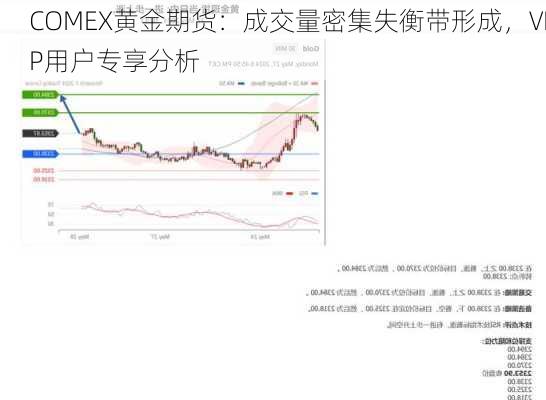 COMEX黄金期货：成交量密集失衡带形成，VIP用户专享分析