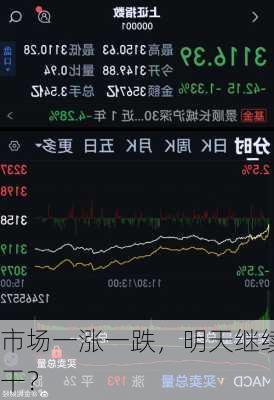 市场一涨一跌，明天继续干？
