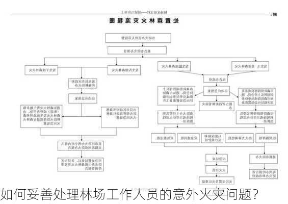 如何妥善处理林场工作人员的意外火灾问题？