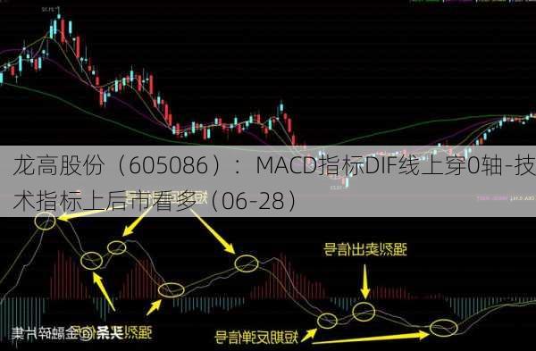 龙高股份（605086）：MACD指标DIF线上穿0轴-技术指标上后市看多（06-28）