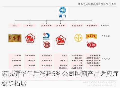 诺诚健华午后涨超5% 公司肿瘤产品适应症稳步拓展