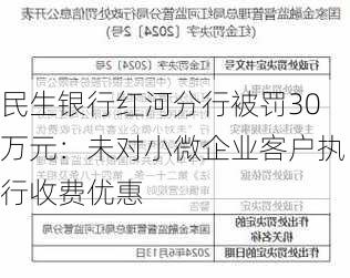 民生银行红河分行被罚30万元：未对小微企业客户执行收费优惠