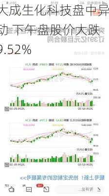 大成生化科技盘中异动 下午盘股价大跌9.52%