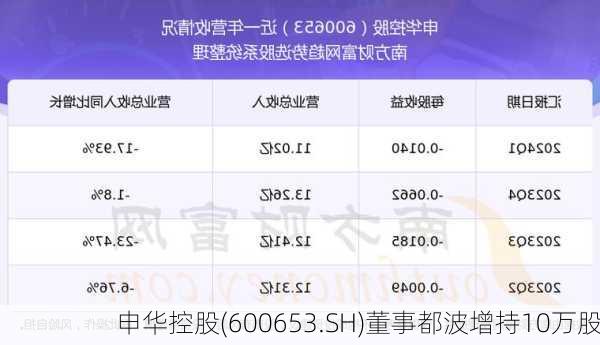 申华控股(600653.SH)董事都波增持10万股