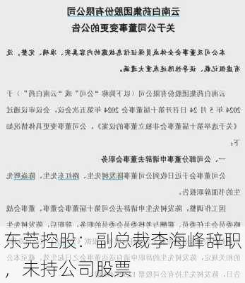 东莞控股：副总裁李海峰辞职，未持公司股票