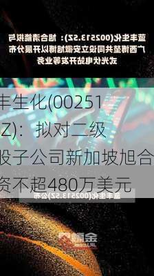 蓝丰生化(002513.SZ)：拟对二级控股子公司新加坡旭合增资不超480万美元