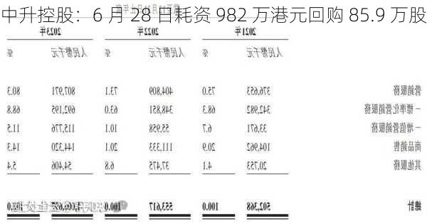 中升控股：6 月 28 日耗资 982 万港元回购 85.9 万股