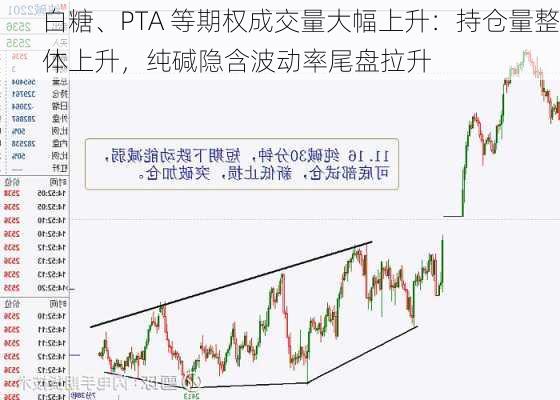 白糖、PTA 等期权成交量大幅上升：持仓量整体上升，纯碱隐含波动率尾盘拉升