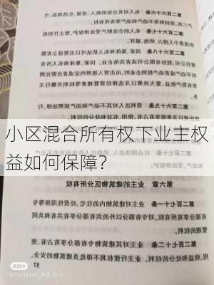 小区混合所有权下业主权益如何保障？