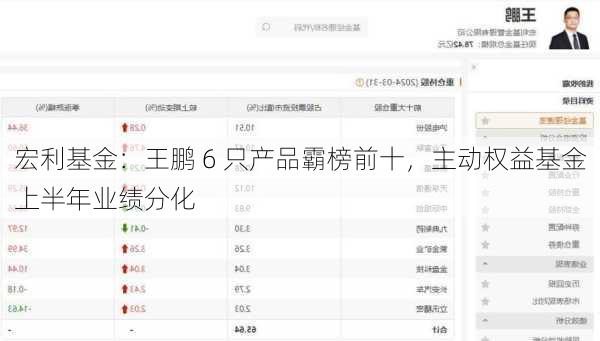 宏利基金：王鹏 6 只产品霸榜前十，主动权益基金上半年业绩分化