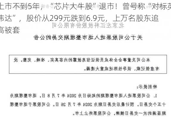 上市不到5年，“芯片大牛股”退市！曾号称“对标英伟达”，股价从299元跌到6.9元，上万名股东追高被套