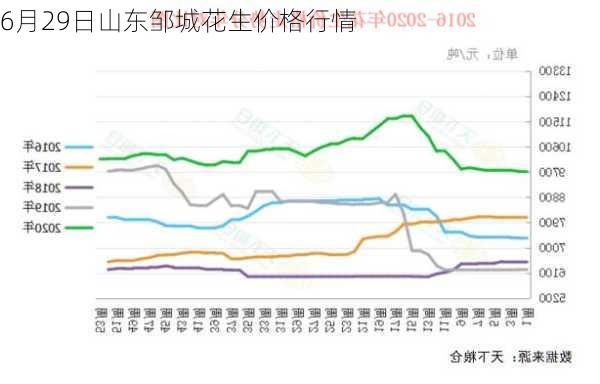 6月29日山东邹城花生价格行情