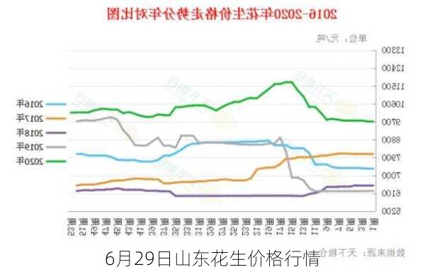 6月29日山东花生价格行情