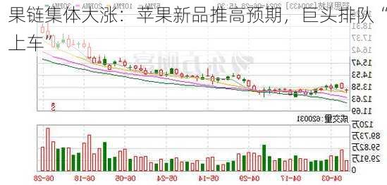 果链集体大涨：苹果新品推高预期，巨头排队“上车”