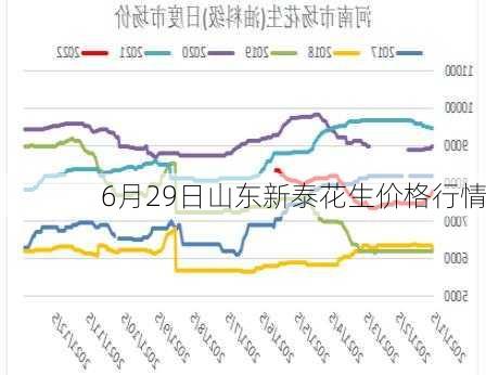 6月29日山东新泰花生价格行情