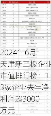 2024年6月天津新三板企业市值排行榜：13家企业去年净利润超3000万元