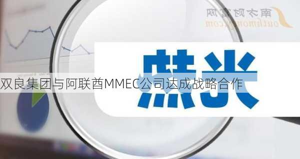 双良集团与阿联酋MMEC公司达成战略合作