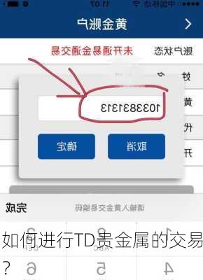 如何进行TD贵金属的交易？