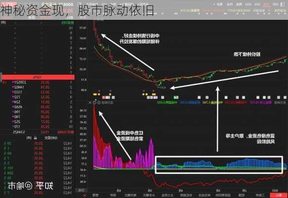 神秘资金现，股市脉动依旧