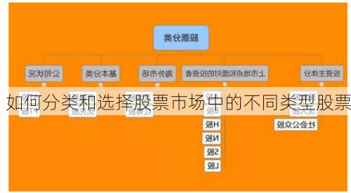 如何分类和选择股票市场中的不同类型股票