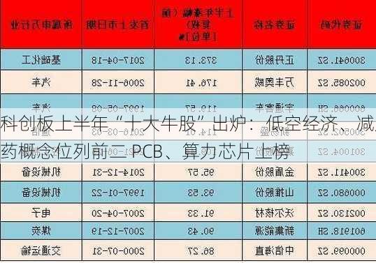 科创板上半年“十大牛股”出炉：低空经济、减肥药概念位列前二 PCB、算力芯片上榜