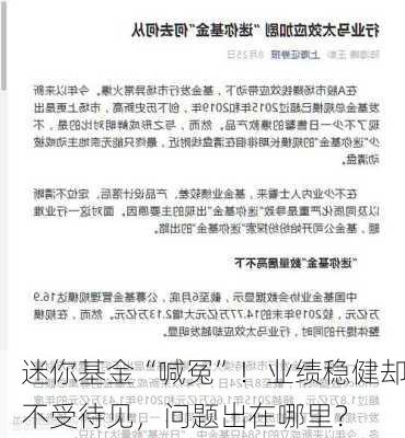 迷你基金“喊冤”！业绩稳健却不受待见，问题出在哪里？