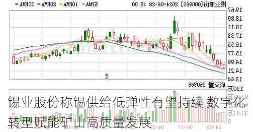 锡业股份称锡供给低弹性有望持续 数字化转型赋能矿山高质量发展